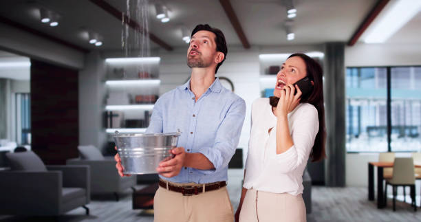 Best Mold removal after water damage  in Eagleton Village, TN