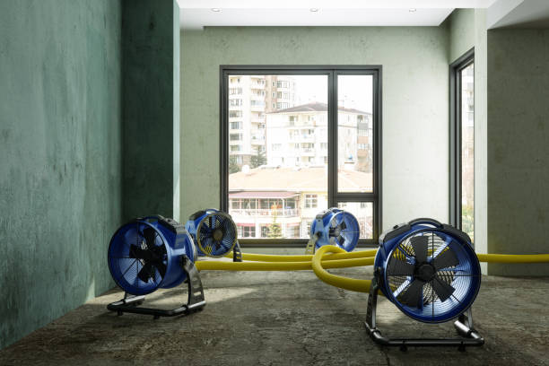 Best Water damage restoration near me  in Eagleton Village, TN
